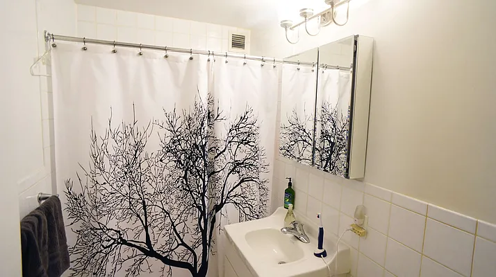 Rented by Bold New York | media 43