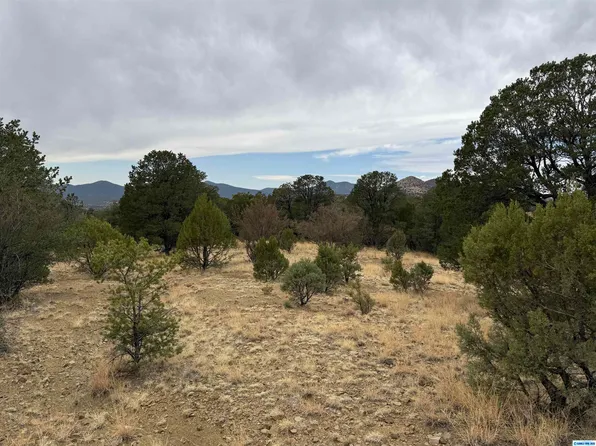 Nikkis Rd, Silver City, NM 88061