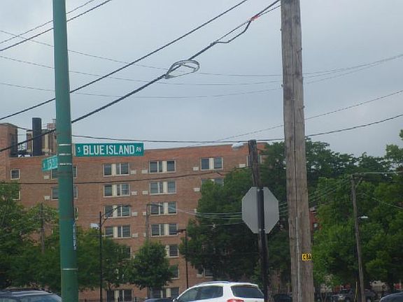 2nd image of 1550 S Blue Island Ave Unit 1010