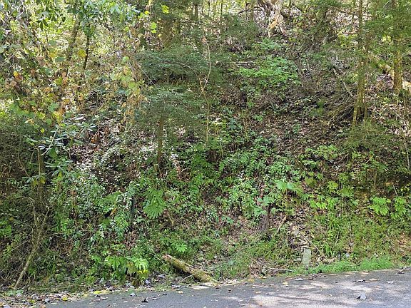5th image of 5 Sugar Maple Loop Rd Lot 5