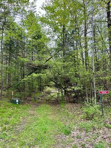 14514 GILLETTE LANE, Mountain, WI, 54149