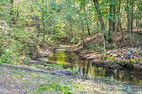 Creek Rd — Photo 28