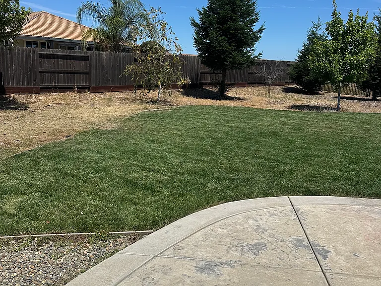9917 Lorae Way — Photo 16