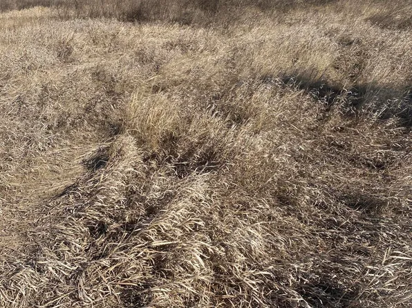 13430 371st Ave, Mina, SD 57451