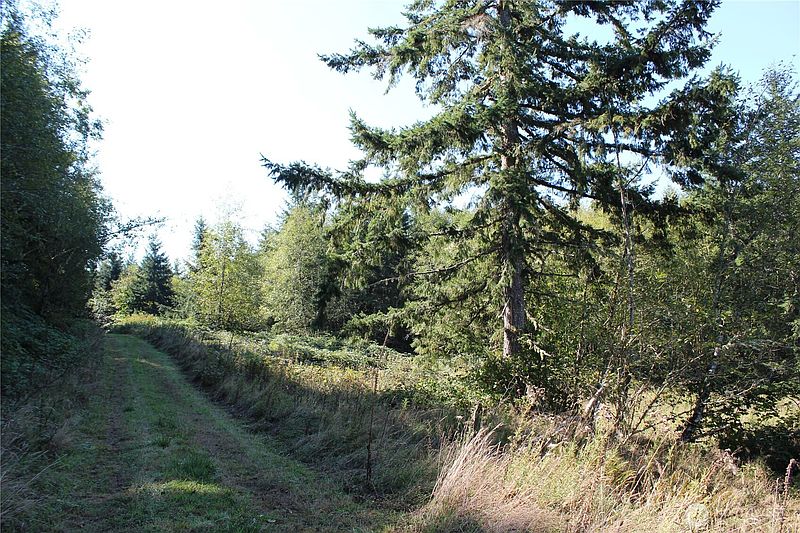 5th image of 0 N Lot H Bodine Road