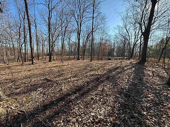 3rd image of 0 S Taylor Ridge Rd