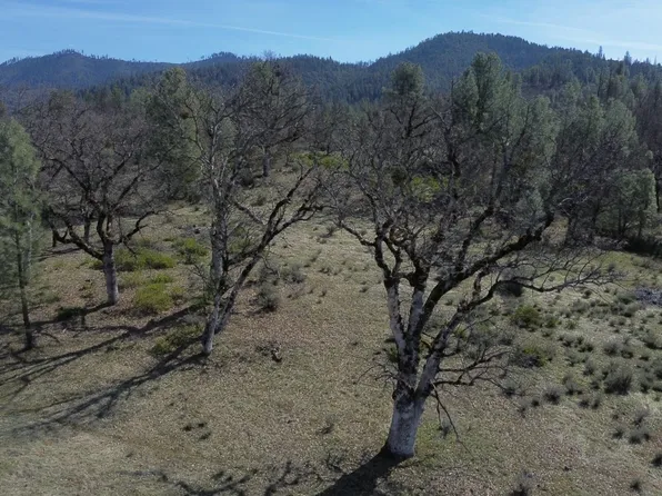 305 Pine Ave, Hayfork, CA 96041
