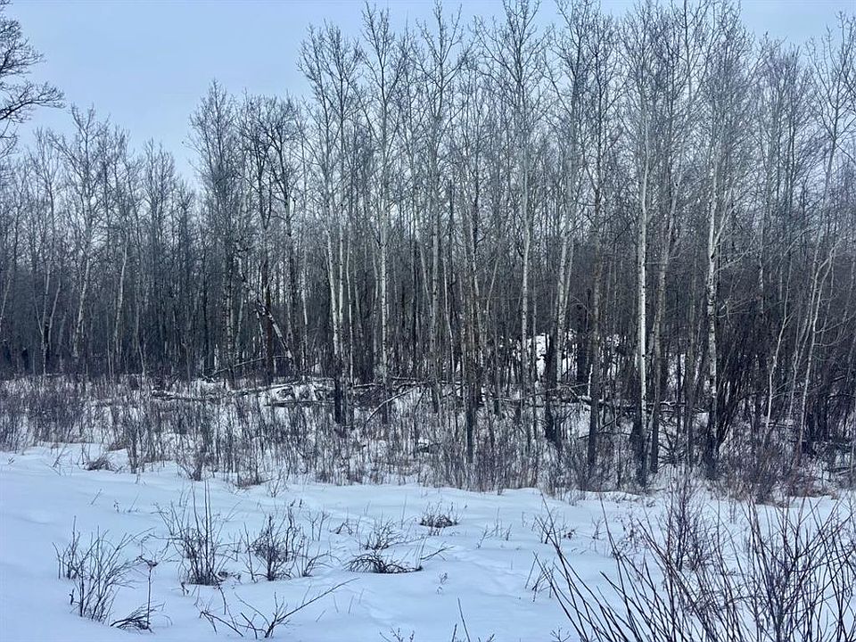 2nd image of 204 Range Rural Beaver #26