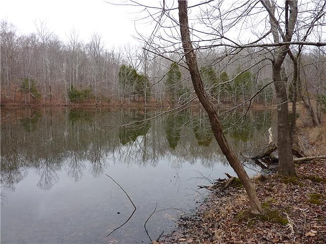 1st image of 81 Bluebird Cir Lot 81