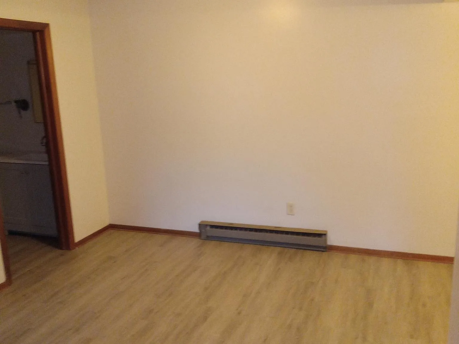 1 bed, 700 sqft, $1,100 — Photo 4