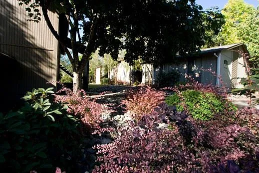 The Park at Greenway — Photo 45