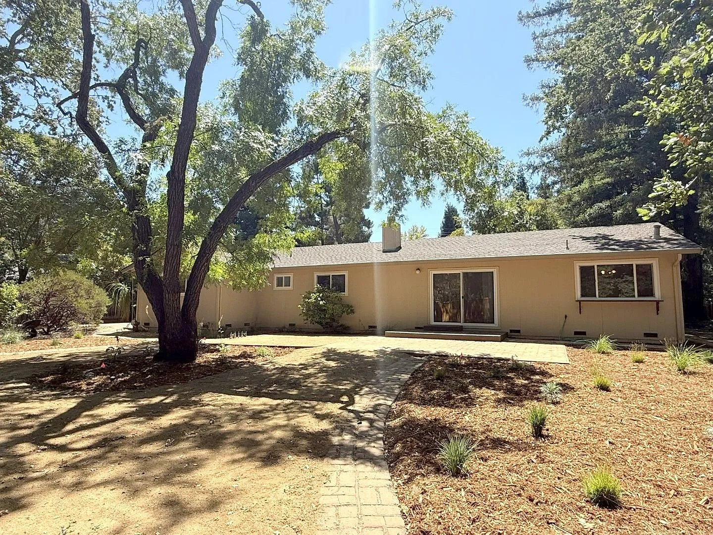 Remodeled 3 bedroom plus den one story home in highly desirable Alamo with huge park like yard ! — Photo 2