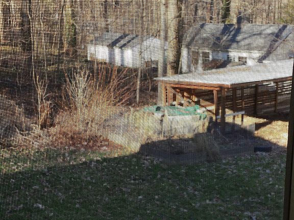 2nd image of 118 Fern Ln