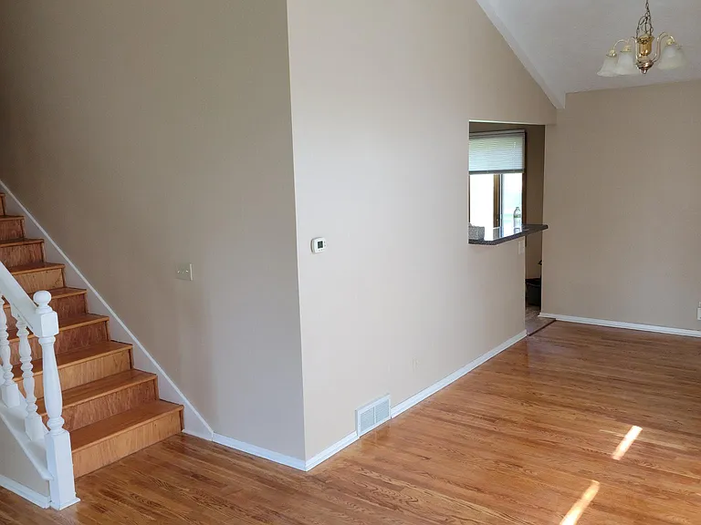 Y Cir — Photo 36