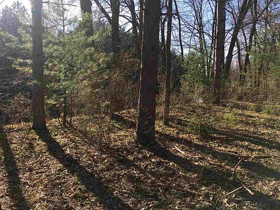 4th image of 5473 Cardinal Rd