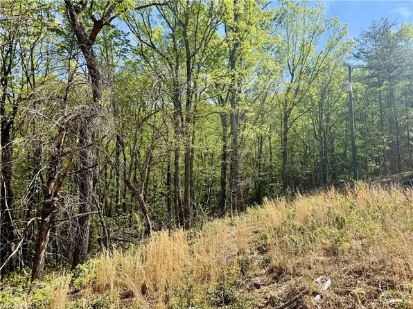 0 Big Rock Ln, Lowgap, NC 27024