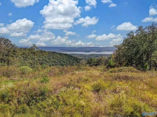 215 Wilson Rd, Scottsboro, AL 35769