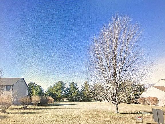 Bushes belong to lot