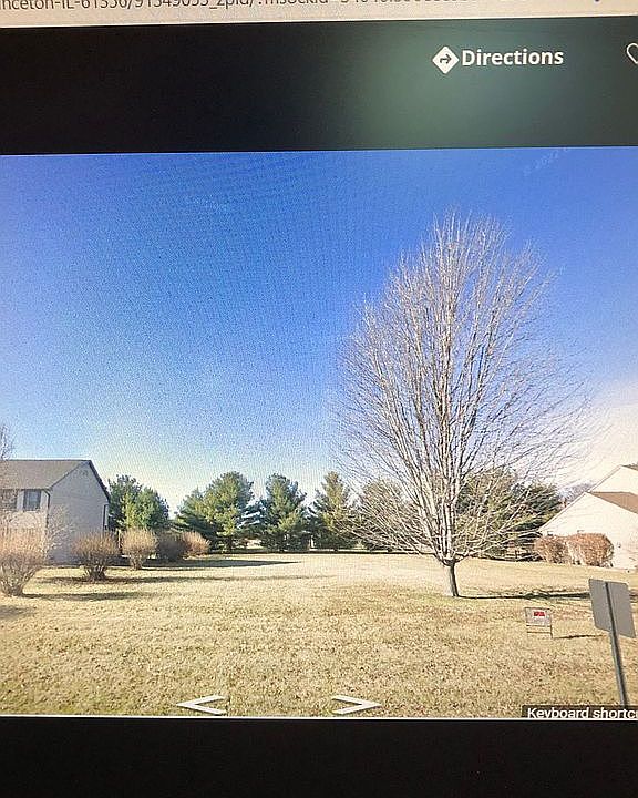 Bushes belong to lot