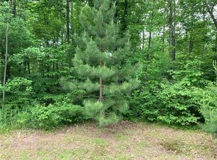 0 NE Long Lake Rd, Birchwood, WI 54817