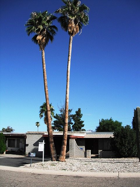 Exterior front Palm Trees_09242013