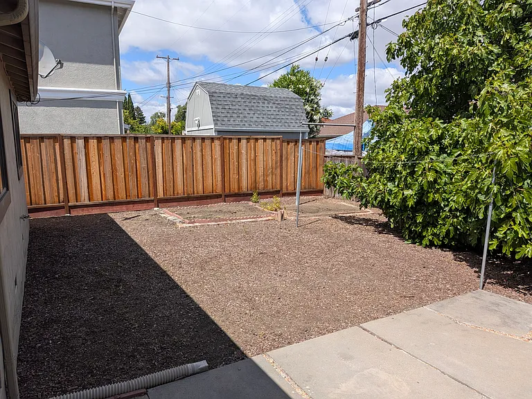 Backyard