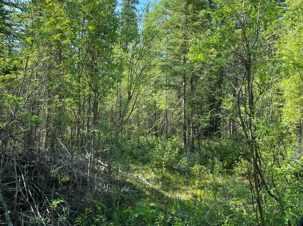 0 Woodcock Rd, Copper Center, AK 99573