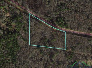 Tbd Gardenia, Diana, TX 75640