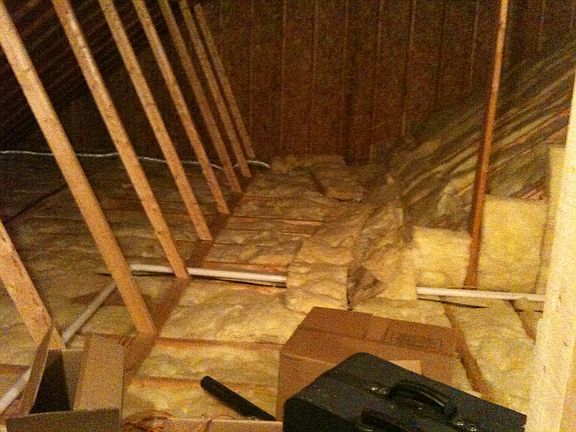 4th image of 1223 Nelson Ave