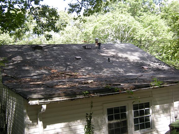5th image of 1386 Elizabeth Ave SW