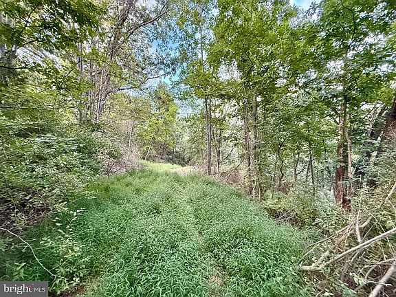 5th image of LOT 11 Smith Hts