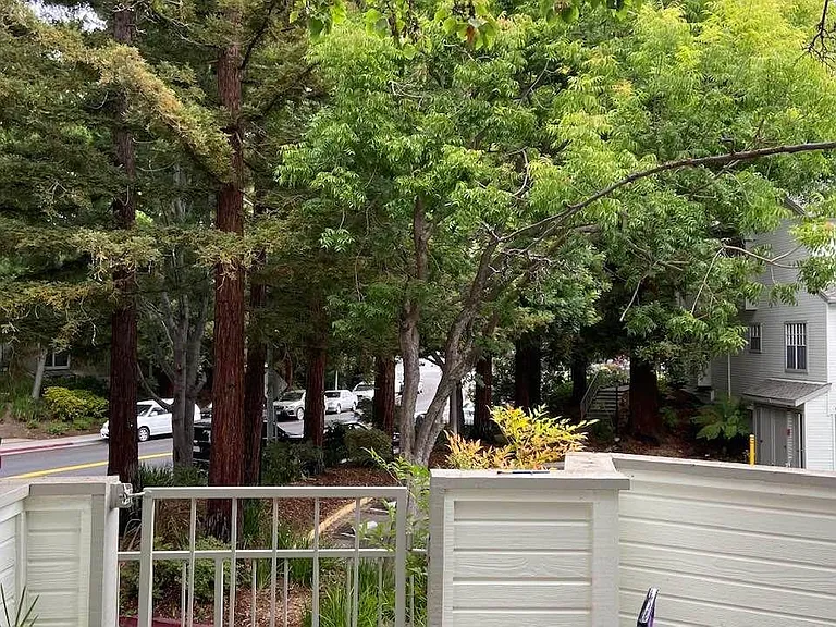 looking out from deck to open space and trees