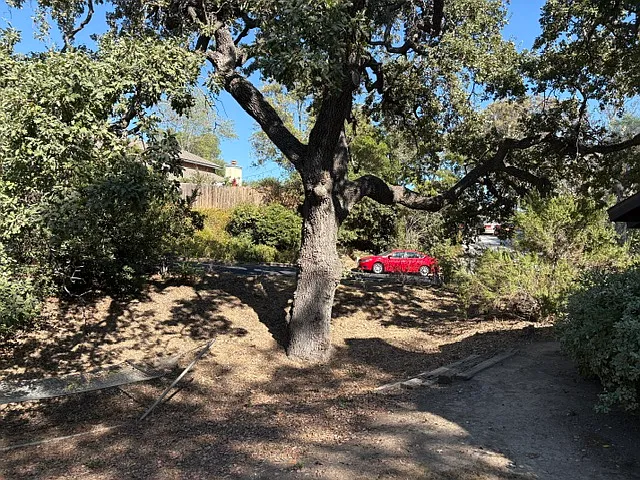 505 Citation Way — Photo 2