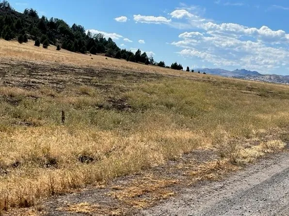 U 3 Deer Run Road So Lot 29, Hornbrook, CA 96044