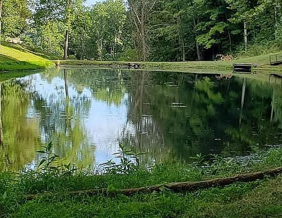 3rd image of 174 Whispering Oaks Dr