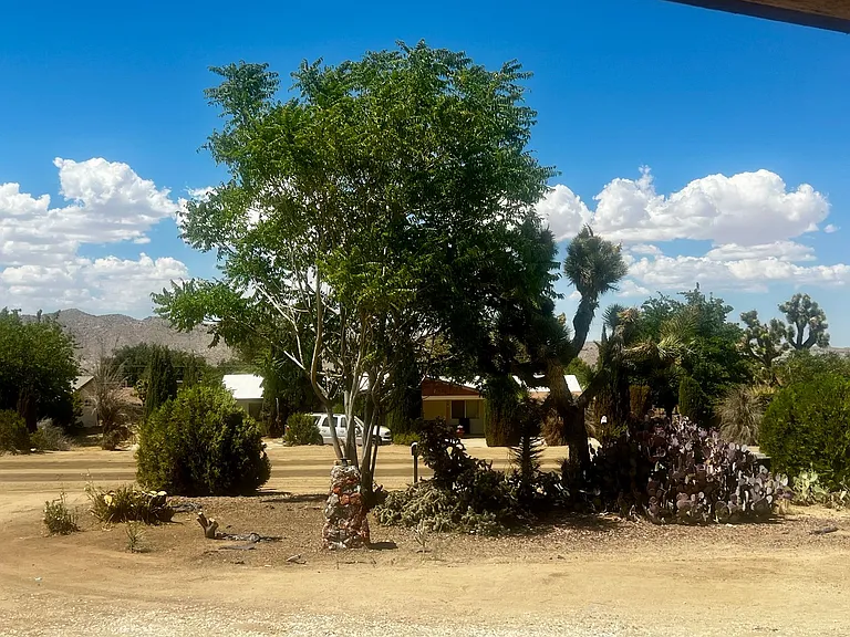 56769 Joshua Dr — Photo 70