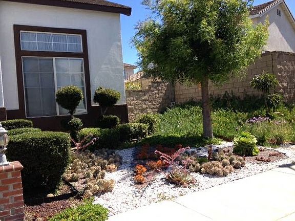 House Front - Succulents Garden
