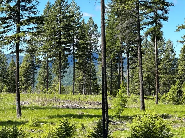 0 Lot 7 Sheridan Road, Republic, WA 99166