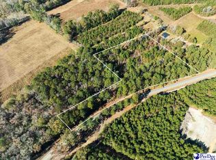 Heatherwood Rd, Marion, SC 29571