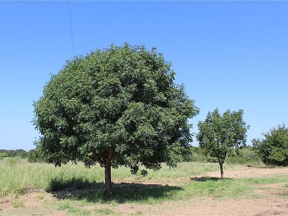 5th image of 1259 Vz County Road 2703