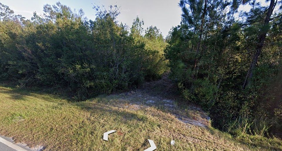 2nd image of 21.57 AC John Wells Road