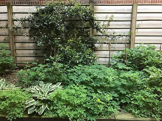 Sold by Corcoran | media 23