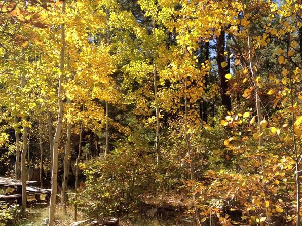 Rincon Rd, Guadalupita, NM 87722