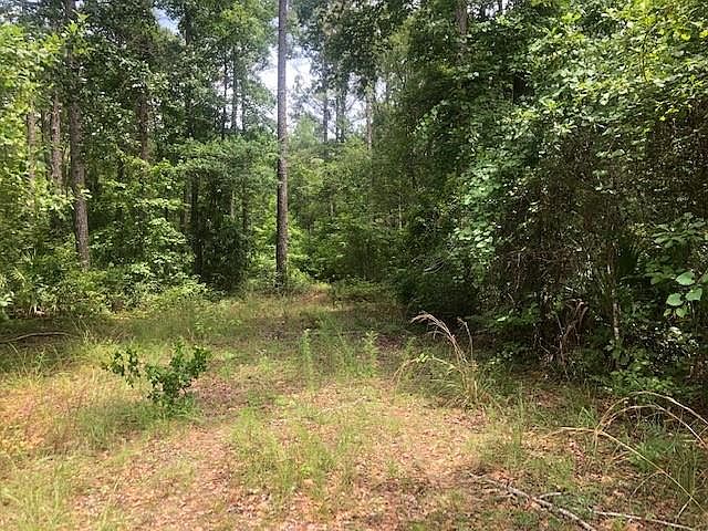 2nd image of 44 Longleaf Dr