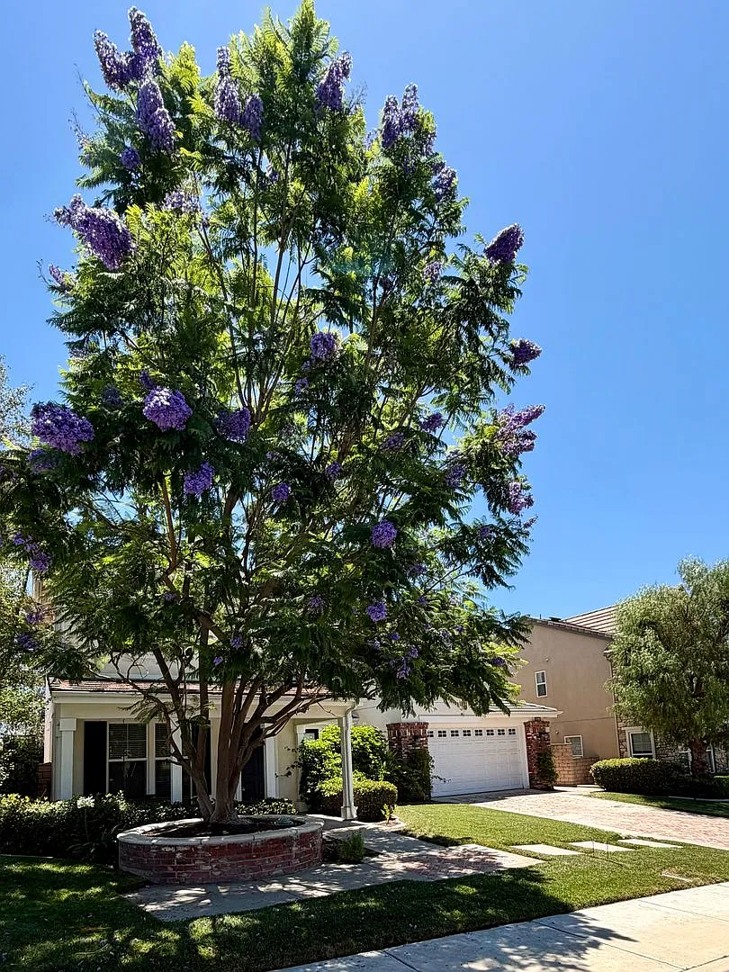 Executive 5 Bedroom Home for rent in Wildomar — Photo 3