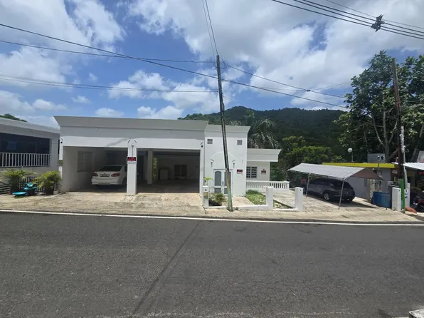 Carretera 172 Sector Sabana, Comerio, PR 00782