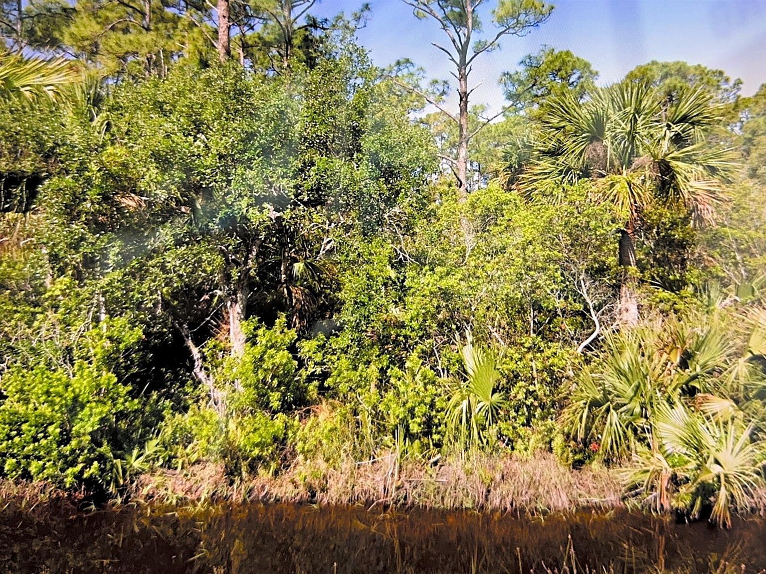 N/a Candy Ln, Malabar, FL 32950 Zillow