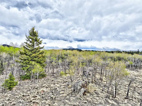 71 Mallard Road, Como, CO 80432