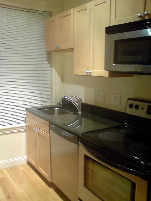1 bed, 600 sqft, $3,100 — Photo 3