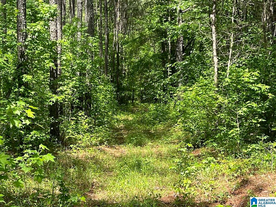2nd image of 0 County Road 6